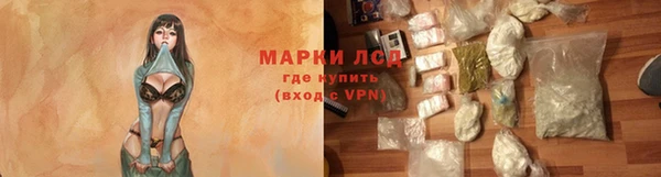 СК Аркадак
