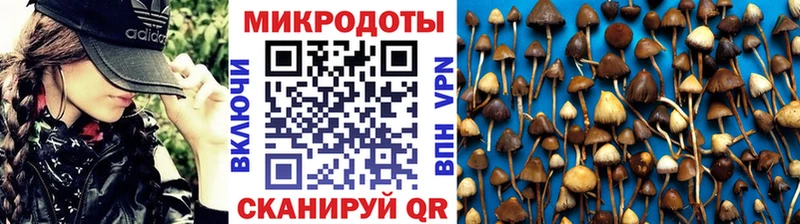это официальный сайт  Нея  Псилоцибиновые грибы Psilocybe 